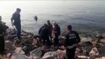 DARICA HAYVANAT BAHÇESİ - Köpeklerden Kaçarken Denize Atlayan Ceylan Kurtarıldı