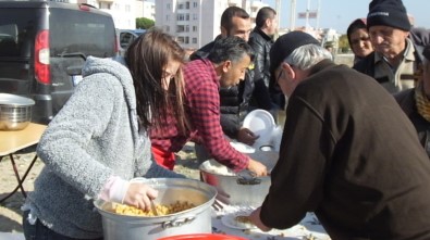 Burhaniye'de Develer Havut Giydi