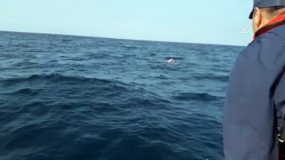 GÜNCELLEME 4 - Dikili'de Düzensiz Göçmenleri Taşıyan Tekne Battı Açıklaması 5 Ölü