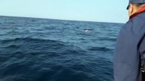 FARUK GÜNGÖR - GÜNCELLEME 4 - Dikili'de Düzensiz Göçmenleri Taşıyan Tekne Battı Açıklaması 5 Ölü