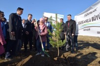 Iğdır'da Fidan Dikimi Gerçekleşti