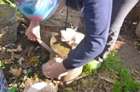 SARAYCıK - Kütükte Yetiştirdiği Mantarları 15 Liradan Satıyor