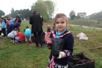 İSMAIL ÇELEBI - Minikler Meşe Palamudu Dikti