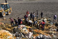 YARALI ÇOCUK - Narenciye Posası Altında Can Pazarı