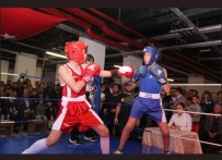 KENAN SOFUOĞLU - Şehit Kaymakam Safitürk Anısına Düzenlenen Boks Turnuvası'ndan Bilecikli Sporculardan Büyük Başarı