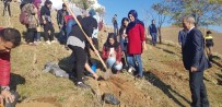 İNSANOĞLU - Solhan'da Öğrenciler Fidan Dikti
