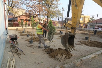 Turgutlu'da Okul Bahçeleri Yeşillendiriliyor