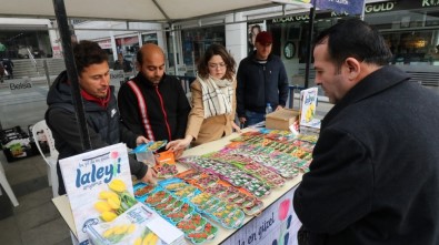 Kocaeil'deki Lale Festivali İçin Satışlar Başladı