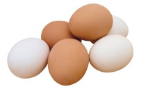 TAKVİM - Tavuk Yumurtası Üretimi Azaldı