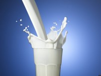 TAKVİM - Toplanan İnek Sütü Miktarı Arttı