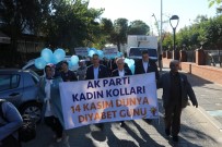 HÜKÜMET KONAĞI - AK Parti'li Kadınlar Diyabete Dikkat Çekti