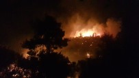 Antalya'da Orman Yangını Açıklaması 4 Mahalle Tehdit Altında