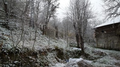 Bartın'da Yüksek Kesimlerde Kar Yağışı