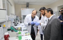 ERCIYES - ERÜ Rektörü Çalış, ERNAM Da İncelemelerde Bulundu