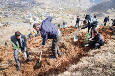 Hakkari Üniversitesi Kampüsünde Ağaçlandırma Çalışması