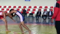 ABDURRAHMAN DEMIREL - Hassa'da Güreş Turnuvası Düzenlendi
