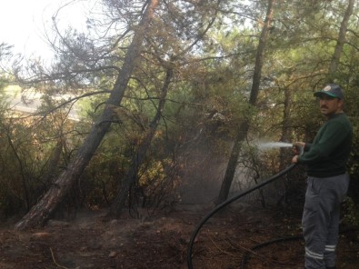 Nurdağı'nda Orman Yangını