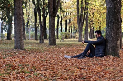 O İlçede Sonbahar Yaprakları 3 Gün Süpürülmeyecek