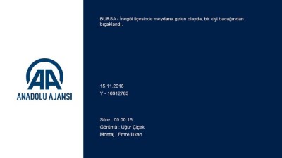 Bursa'da Bıçaklı Saldırı