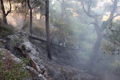 Çam Ormanında Çıkan Yangın Büyümeden Söndürüldü