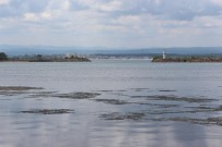 İĞNEADA - Denizde Kullanımı Yasak Olan Misina Ağları Toplatıldı