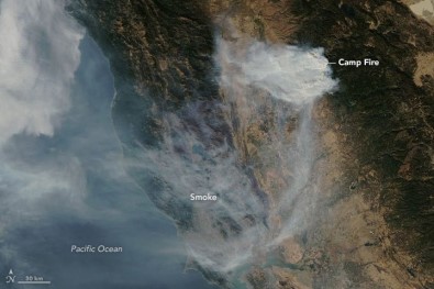 Kaliforniya'daki Orman Yangınlarında Ölü Sayısı 56'Ya Yükseldi