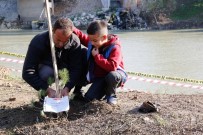 CEYHAN NEHRİ - Öğrenciler Ceyhan Nehri Kıyılarını Ağaçlandırıyor