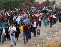 SINIR ÖTESİ - Bakan o sayıyı açıkladı