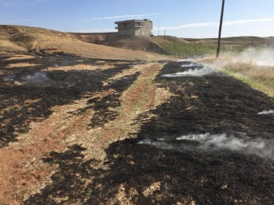 Anız Yakan İki Şahıs Hakkında İşlem Yapıldı