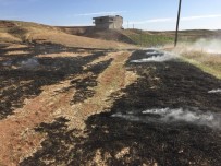 Anız Yakan İki Şahıs Hakkında İşlem Yapıldı