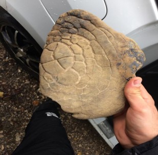 Bartın'da Ele Geçirildi