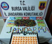 Bursa'da Düğün Salonuna Kumar Baskını Açıklaması 42 Gözaltı