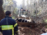 Hamile İneği Dereden Büyükşehir Ekipleri Kurtardı