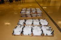 İstanbul'da Balıkçılara Şok Baskın