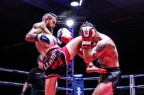 BOKS - Levent Liechti şampiyon oldu