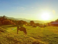 YAĞIŞLI HAVA - Meteoroloji Genel Müdürü Coşkun: Soğuk hava yarın yurdu terk edecek