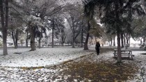 Niğde'de Kar Yağışı