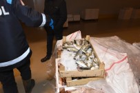 İstanbul'da Balıkçılara Şok Baskın Havadan Görüntülendi