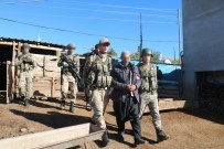 TERÖR SALDIRISI - PKK'ya Yönelik Büyük Operasyon Açıklaması 74 Gözaltı