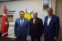 Sözen, Yeniden AK Parti'de