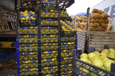 Türkiye'de Yetişen Sebze Ve Meyveler Irak Piyasasının Vazgeçilmezi