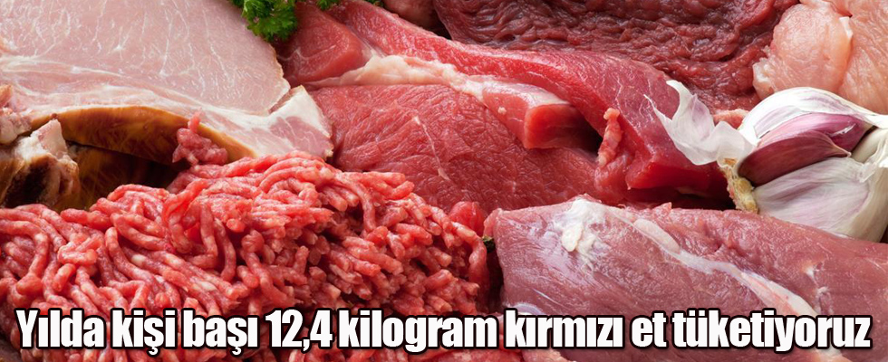 Yılda kişi başı 12,4 kilogram kırmızı et tüketiyoruz