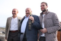 ZEYTİN YAĞI - 1.800 Yıllık Ağaçtan Elde Edildi Açıklaması Yarım Litresi 30 Bin TL