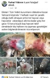 Adana'da Kurtlar Küçükbaş Hayvanlara Saldırdı