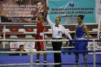 İBRAHİM HAKKI - Büyük Erkekler 3.Grup Ferdi Boks Şampiyonası Sona Erdi