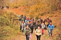 DUMANLı  - Dumanlı Yaylası Misafirlerini Etkiledi