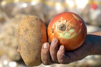 HASAN ÖZDEMIR - Tüketiciye Patates Ve Soğandan Bir Kötü Haber Daha