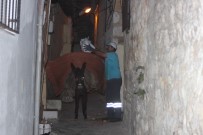 ANTAKYA - Antakya'nın Dar Sokaklarında Çöpler 'Eşeklerle' Toplanıyor