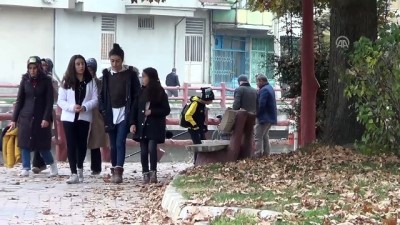 Belediyeden 'Sonbaharın Renklerine Dokunmama' Kararı