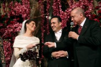 NİKAH ŞAHİDİ - Erdoğan Nikah Şahidi Oldu